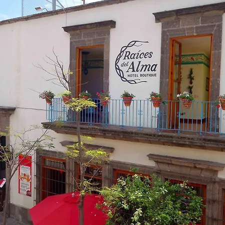 Raices Del Alma Hotel Boutique